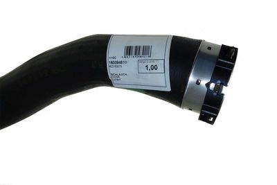 FURTUN EAR SUPRAALIMENTARE AUTOMEGA 160094610 3