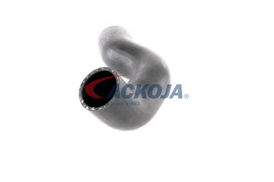 FURTUN EAR SUPRAALIMENTARE ACKOJA A380307 23