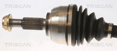 PLANETARA TRISCAN 854025684 1