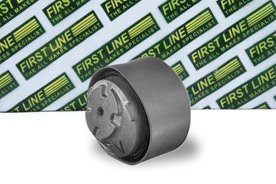 окачване, двигател FIRST LINE FEM3912