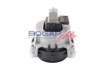 BOGAP Variklio montavimas