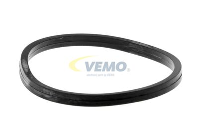GARNITURA TERMOSTAT VEMO V30999005 44