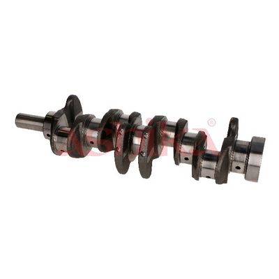 ARBORE COTIT ASHIKA 18KI003 7