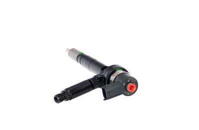 INJECTOR REMANTE 002003001094R 23