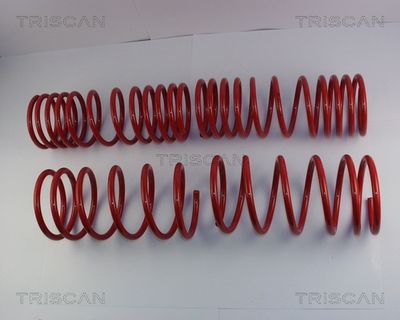 TRISCAN 8755 43001 Пружина подвески  для HYUNDAI PONY (X-1) 1.5 (X-1)