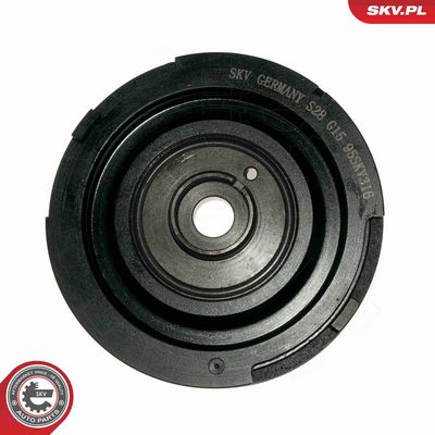 FULIE CUREA ARBORE COTIT ESEN SKV 95SKV316 2