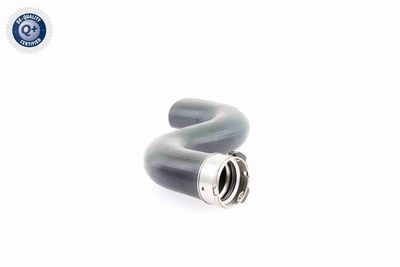 LADELUFTSCHLAUCH VAICO V103778 7