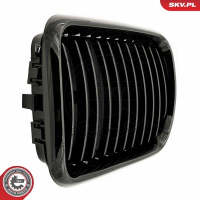 GRILA RADIATOR ESEN SKV 66SKV049 4