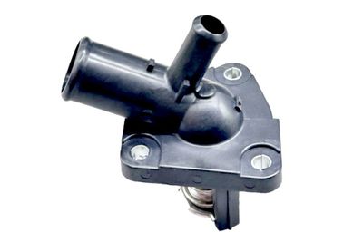 GOOM Termostatas, aušinimo skystis