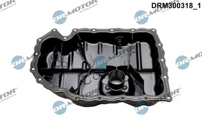 BAIE ULEI Dr.Motor Automotive DRM300318 1