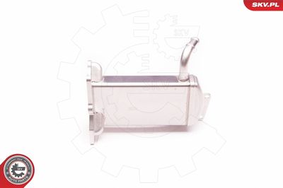 RADIATOR RECIRCULARE GAZE DE ESAPAMENT