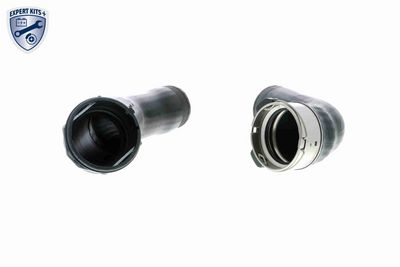 FURTUN EAR SUPRAALIMENTARE