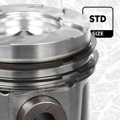 PISTON ET ENGINETEAM PM005100 2