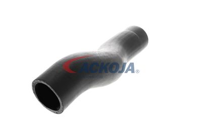 FURTUN EAR SUPRAALIMENTARE ACKOJA A529600 27