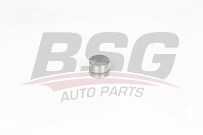BSG BSG 15-122-026 Гидрокомпенсаторы  для BMW Z8 (Бмв З8)