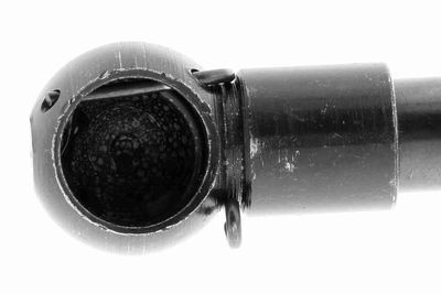 GASFEDER KOFFER-/LADERAUM VAICO V250232 1