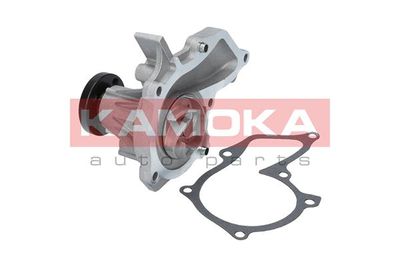 Water Pump, engine cooling T0134