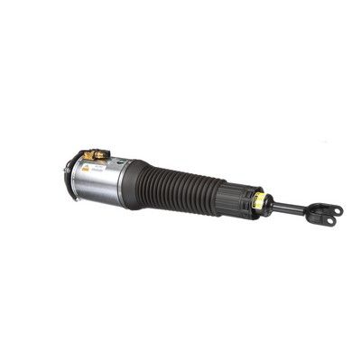 LUFTFEDERBEIN Arnott AS2561 6