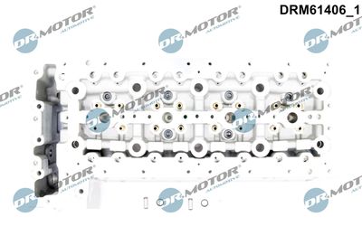 CHIULASA Dr.Motor Automotive DRM61406 1