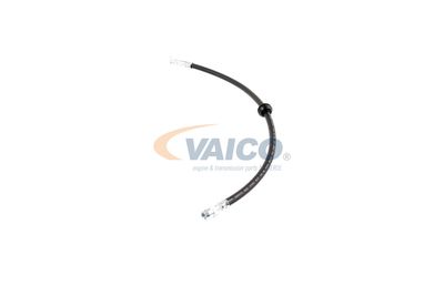 FURTUN FRANA VAICO V201909 22