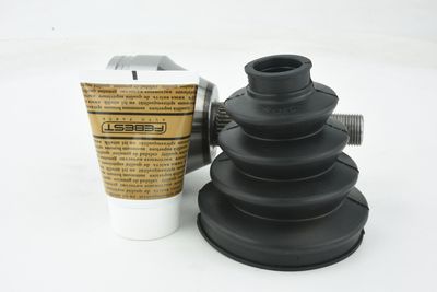 SET ARTICULATIE PLANETARA FEBEST 2010NIT 28