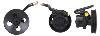 POMPA HIDRAULICA SISTEM DE DIRECTIE ELSTOCK 151340