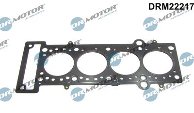 Uszczelka, głowica cylindrów DR.MOTOR AUTOMOTIVE DRM22217
