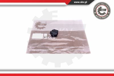 Выключатель, стеклолодъемник ESEN SKV 37SKV368 для RENAULT KANGOO