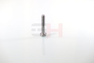 SURUB CAPAT DE AX GH GH392360 41