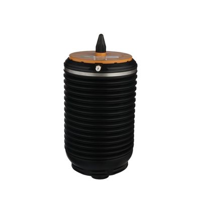 LUFTFEDER FAHRWERK Arnott A3891 4