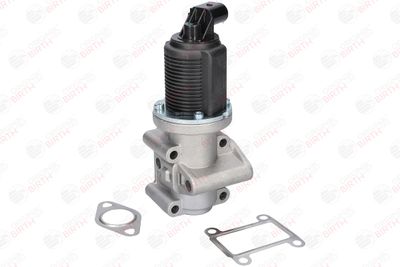 SUPAPA EGR BIRTH 90039 12