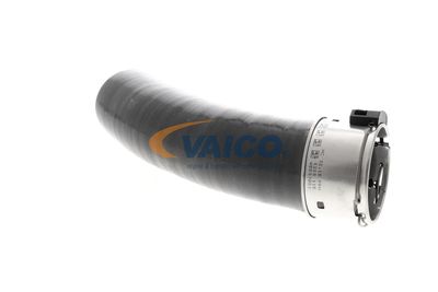 LADELUFTSCHLAUCH VAICO V461198 41