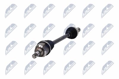 PLANETARA NTY NPWCT146 36