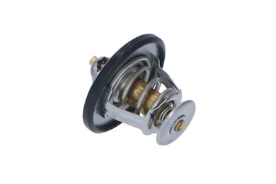 TERMOSTAT LICHID RACIRE NRF 725087 21