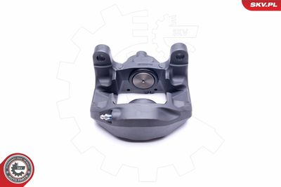 Brake Caliper 42SKV413