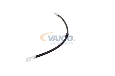 FURTUN FRANA VAICO V300547 25