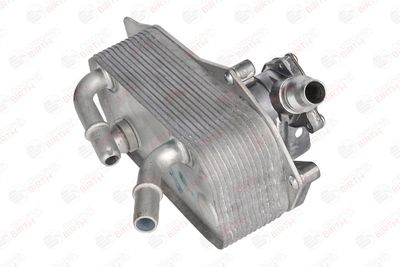 RADIATOR ULEI ULEI MOTOR BIRTH 80276 3