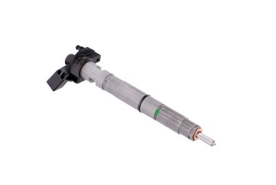 INJECTOR REMANTE 002003000171R 48