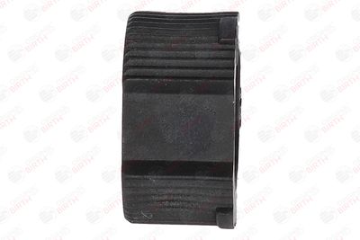 BUCSA ARBORE DE DIRECTIE BIRTH 4340 4