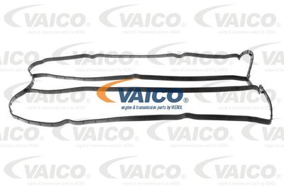 VAICO V25-1331 Прокладка клапанної кришки 