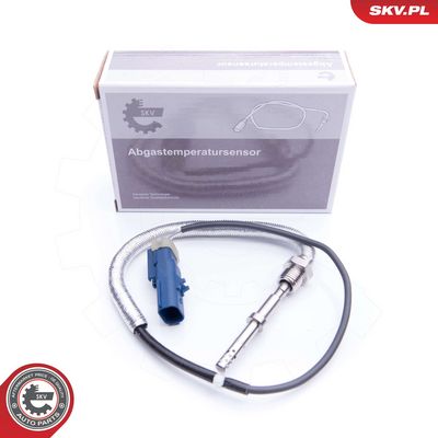 Sensor, Abgastemperatur