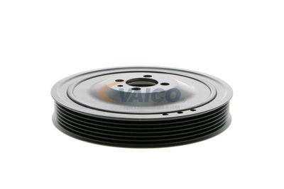 FULIE CUREA ARBORE COTIT VAICO V401481 48