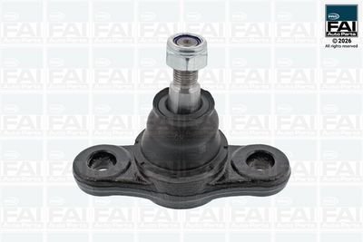 Шарнири FAI AutoParts FPBJ0222
