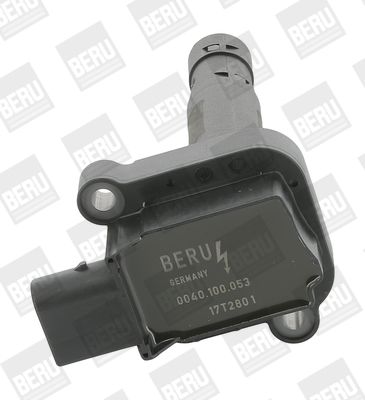 BorgWarner (BERU) Zündspule