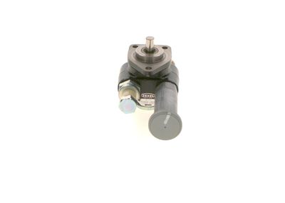 BOSCH Kraftstoffpumpe