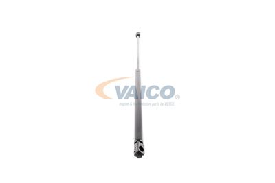 GASFEDER KOFFER-/LADERAUM VAICO V240211 49