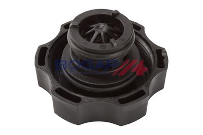 BUSON VAS EXPANSIUNE BOGAP L4211101 4