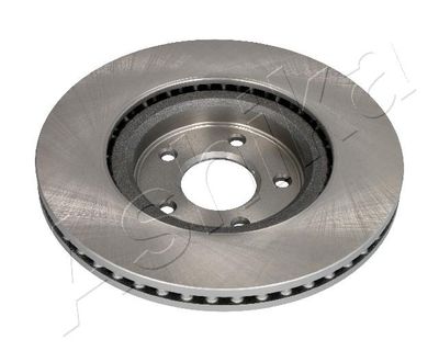 Brake Disc 60-01-175C