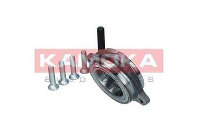 Wheel Bearing Kit 5500174