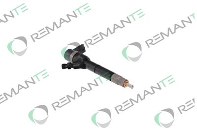 INJECTOR REMANTE 002003001738R 3